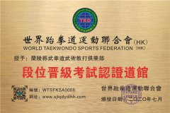 蘭陵縣武拳道武術(shù)散打俱樂部