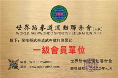 蘭陵縣武拳道武術(shù)散打俱樂部